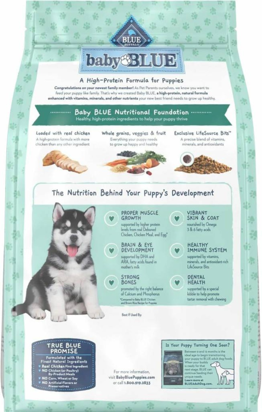 Blue Buffalo Puppy Dry Food - Natural Chicken Recipe with DHA for Healthy Growth, 11lb Bag