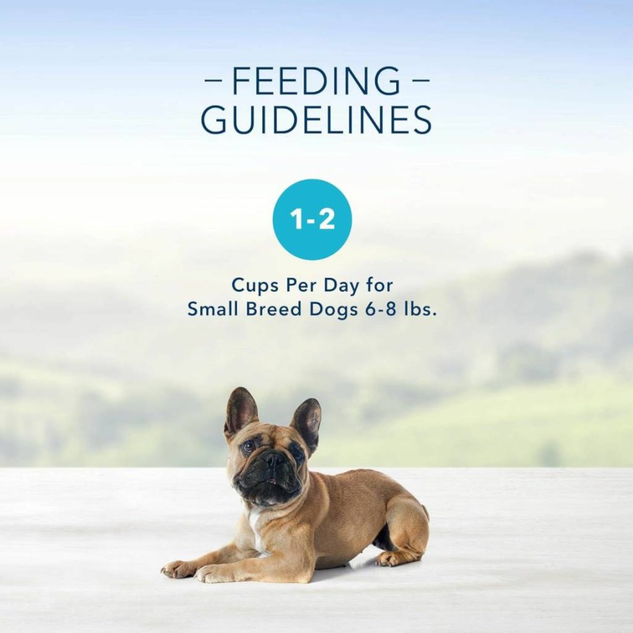 Blue Buffalo Delights Natural Small Breed Wet Dog Food Cups, Pate Style, Roasted Turkey & Grilled Chicken, 3.5-Oz (24 Pack - 12 Each Flavor)