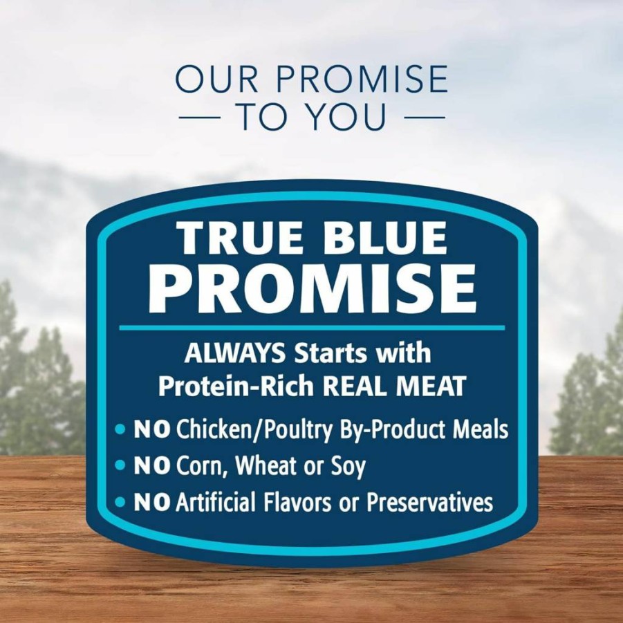 Blue Buffalo Wilderness Grain-Free Kitten Wet Cat Food - High Protein Chicken & Salmon Pate, 3-Oz Cans (48 Pack, 24 Each Flavor)