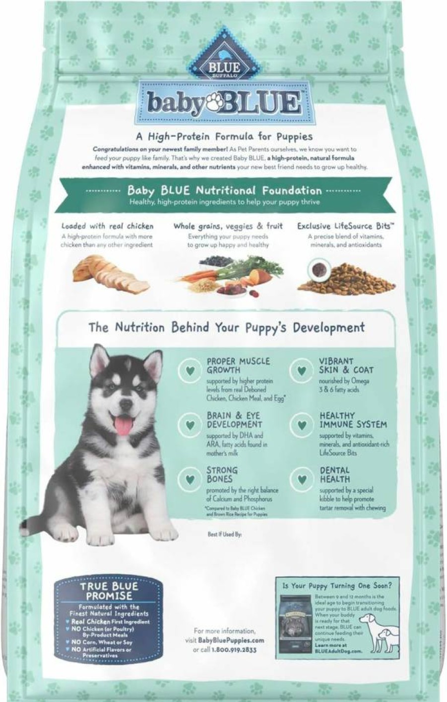Blue Buffalo Puppy Dry Food - High Protein Chicken Recipe with DHA for Healthy Growth, 4lb Bag
