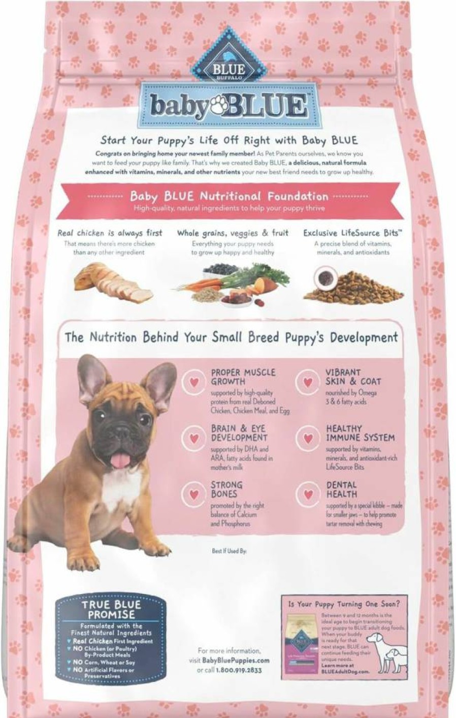 Blue Buffalo Small Breed Puppy Dry Dog Food - Healthy Growth Formula with DHA, Chicken & Oatmeal, 4lb Bag for Optimal Development